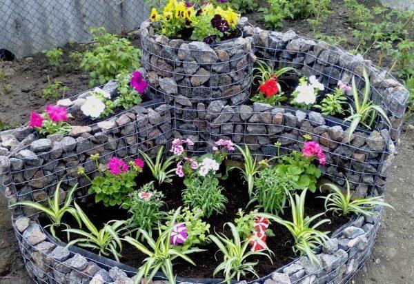 gabion flower beds