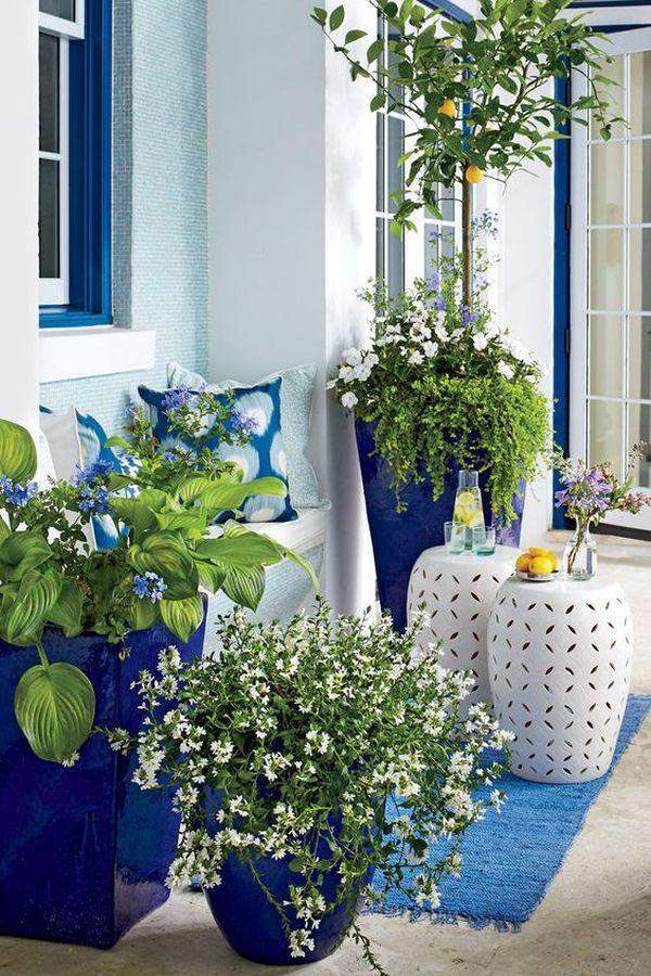 blue and white outdoor decor