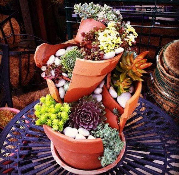 broken pot succulent garden