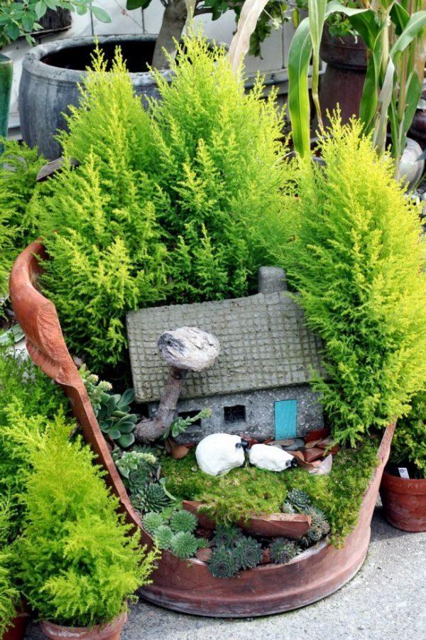 fairy garden pots ideas