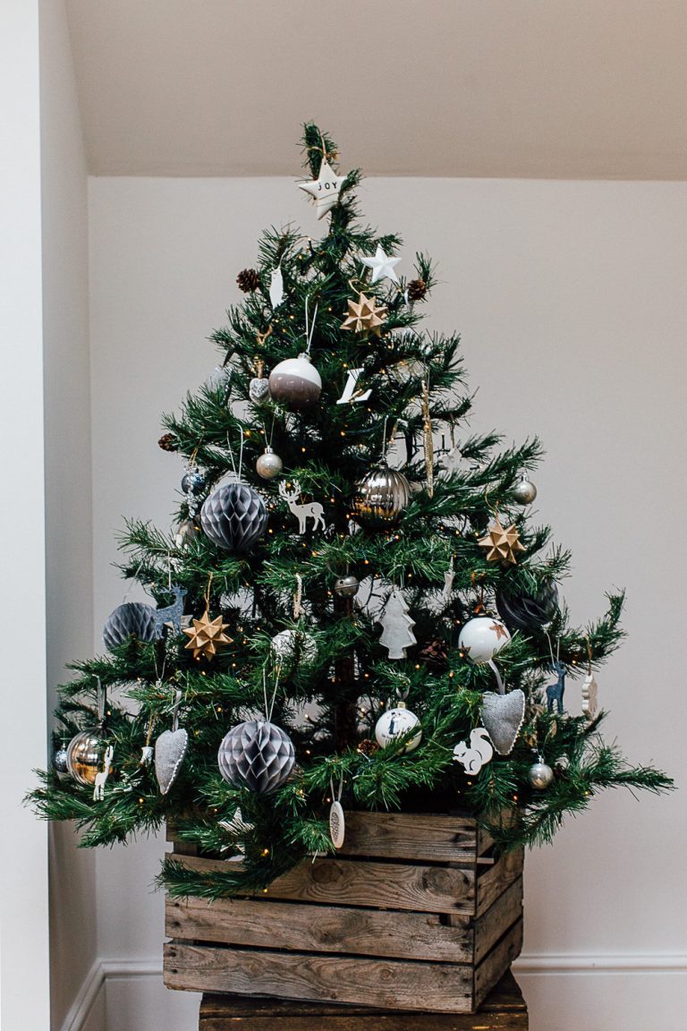 Christmas Tree Containers