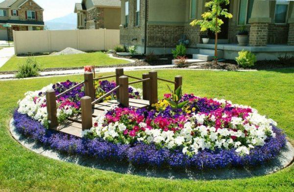 flower bed plants