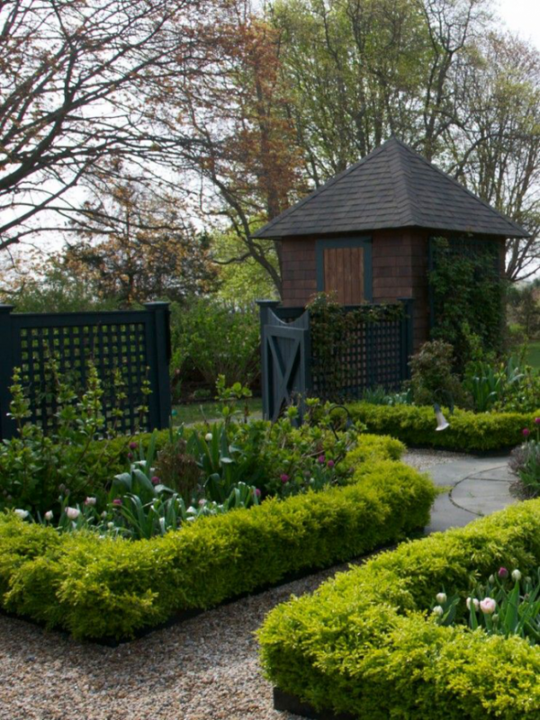 garden border planting ideas