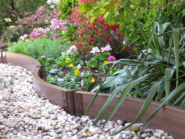 plant border ideas