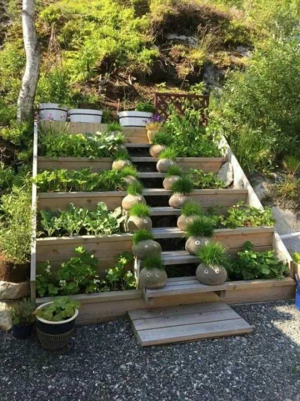 vegetable garden design