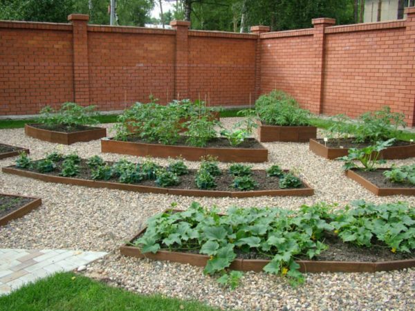 home vegetable garden design