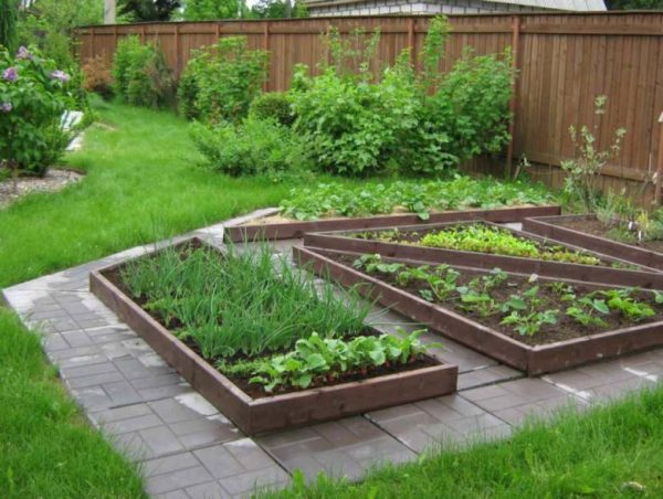 vegetable garden landscaping