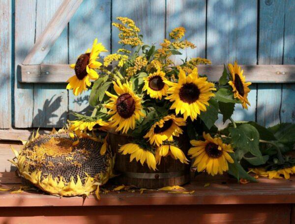 sunflower garden decor