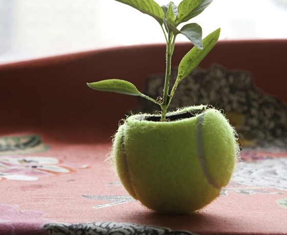 what to do with old tennis balls