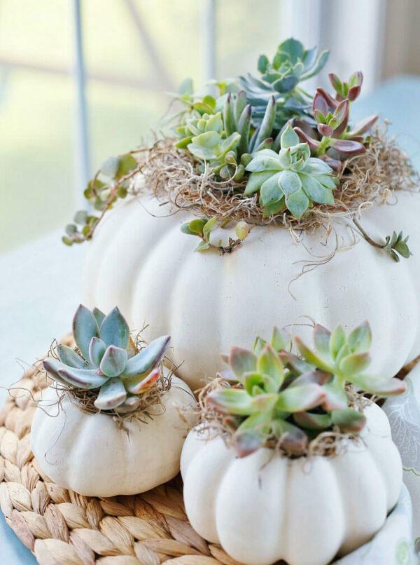 white pumpkin planter