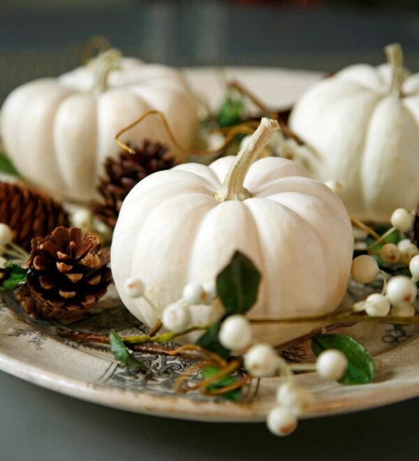 white pumpkin decoration