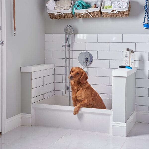 Home dog wash station ideas