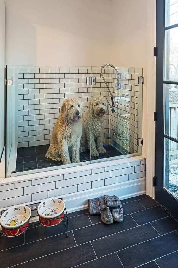 dog wash station at home