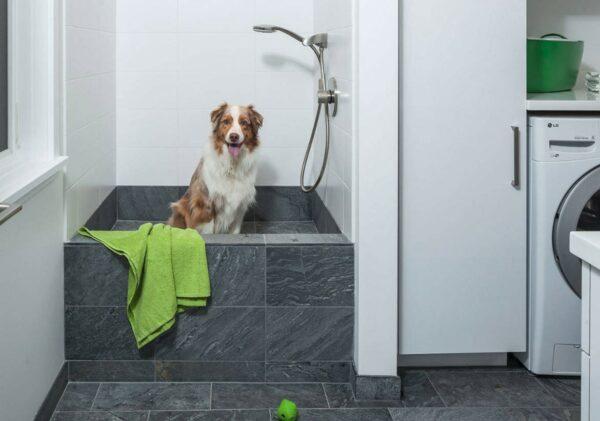 dog washing station in laundry room
