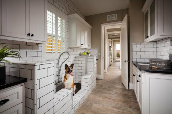 large dog washing station for home