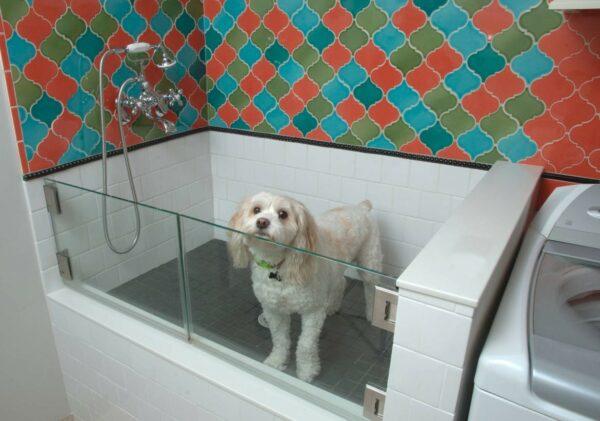 indoor dog shower