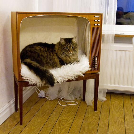 cat bed made from old tv