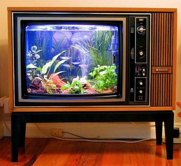 aquarium made from old tv