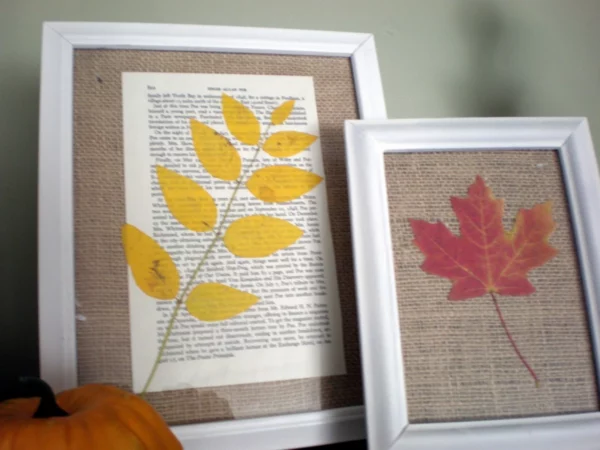 Framed fall leaves