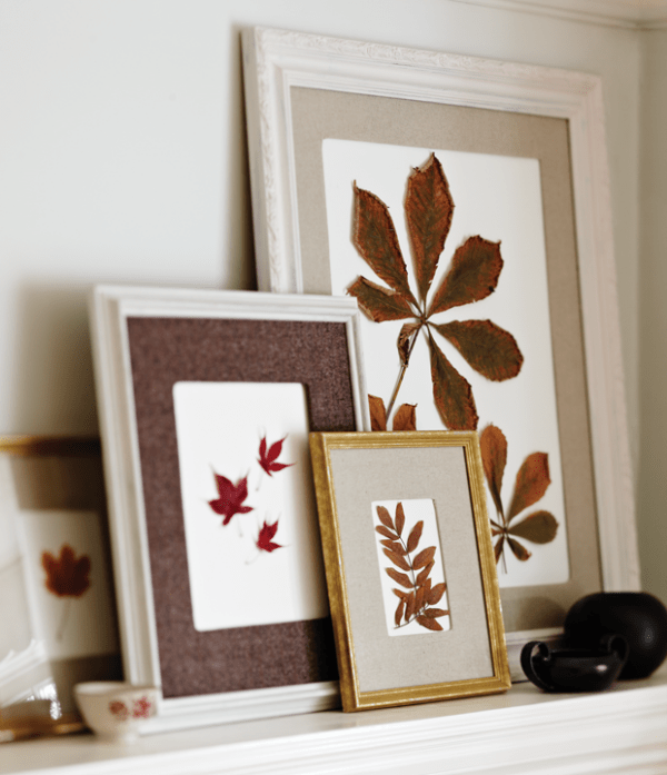 pressed leaves art