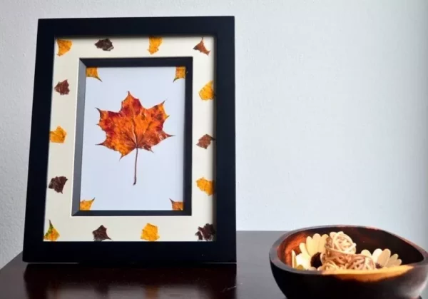 framed autumn leaves