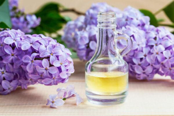 lilac oil benefits