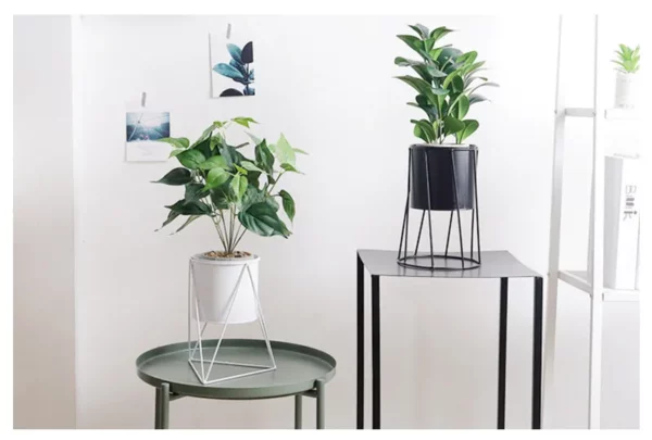 modern plant stand