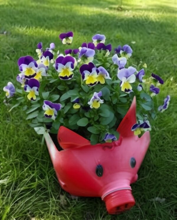 plastic bottle planter design