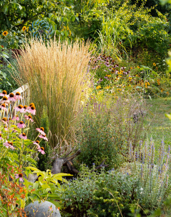 natural-grasses