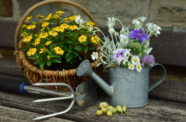 Garden flowers